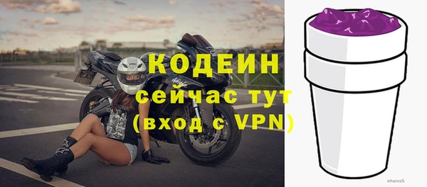 дурь Карпинск
