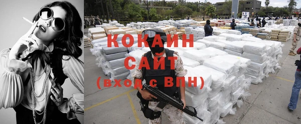прущие грибы Козельск