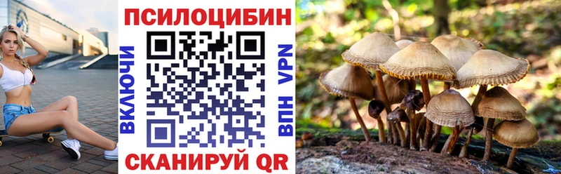 Псилоцибиновые грибы Magic Shrooms  Красный Кут 